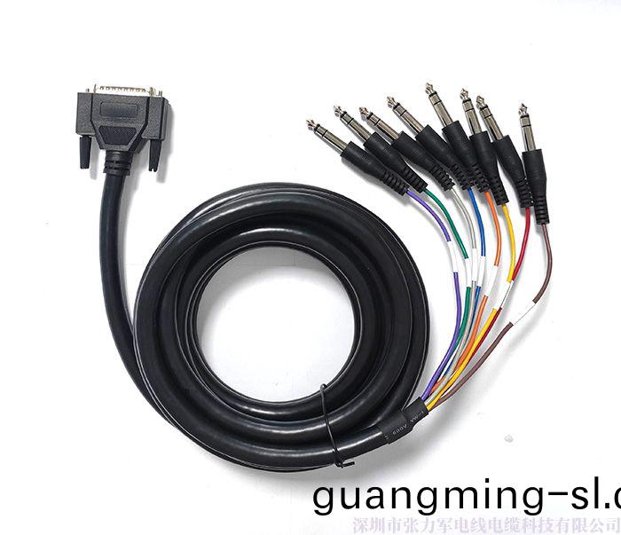 DB25pin/8*6.35雙(shuang)音(yin)麥(mai)尅(ke)風挿頭